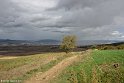 151000_Camino_0210