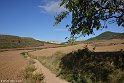 151000_Camino_0360