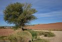 151000_Camino_0463